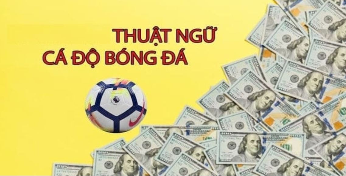 thuật ngữ cá độ bóng đá one88